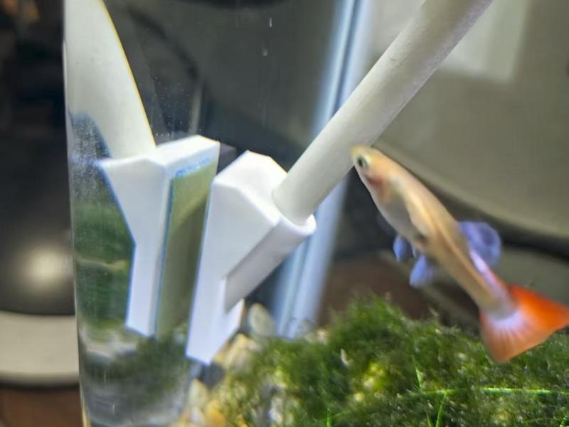 Small Fish Tank Algae Cleaning Scrubber