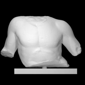 Fragmentary Marble Torso of a Man