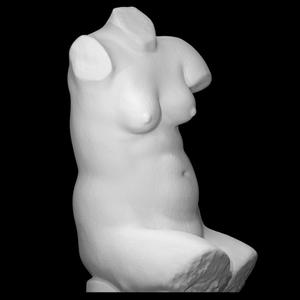 Female Torso