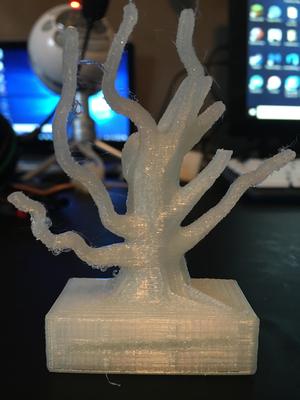 Award design for competition