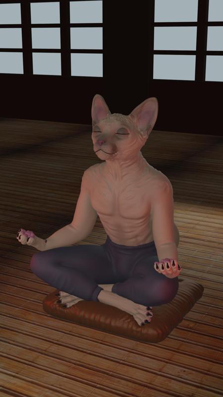 Cat Meditating