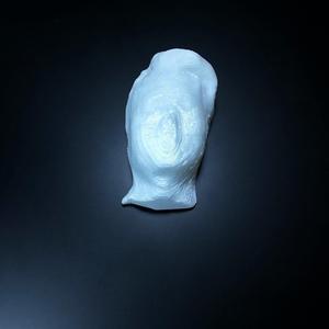 Untitled 3D Scan 2017-10-03