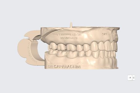DR CAPARACHINI EDUCATIONAL MODEL