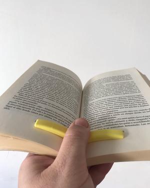 seagull book opener