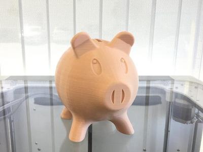 Piggy Bank