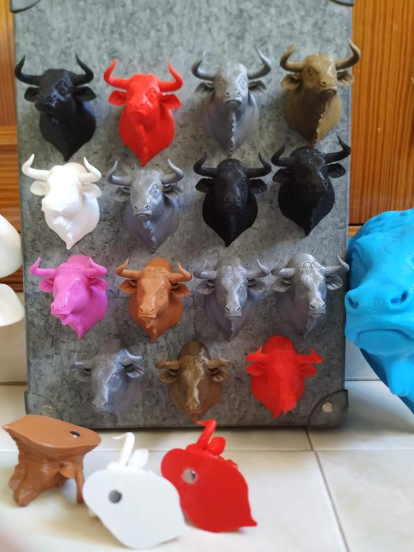 Cabezas de toros con imán