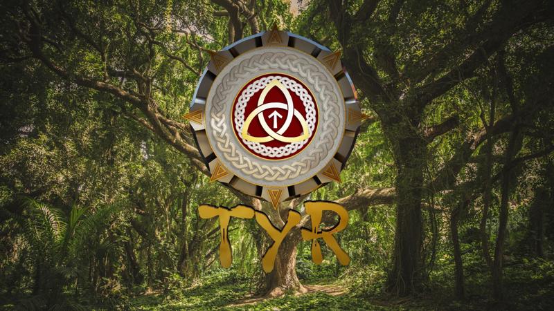 TYR Coin Battle Game Rulebook