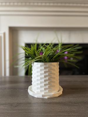 Modern Planter