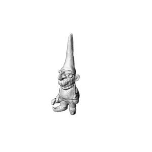 Thief gnome