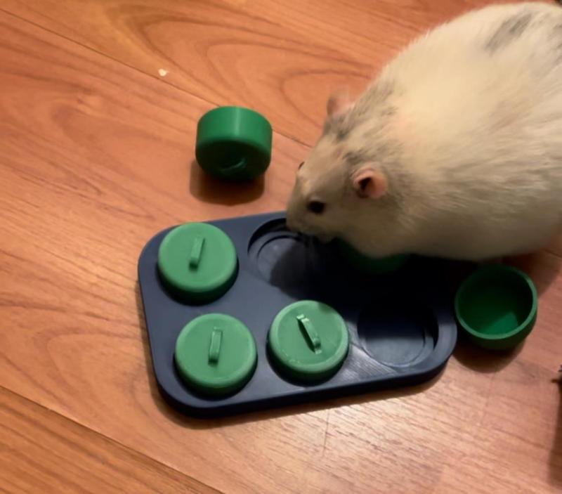 Rat Forage Toy