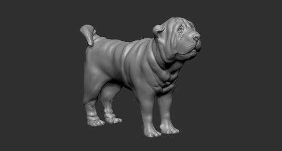 Shar pei