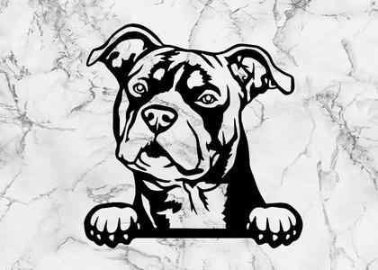 pit bull terrier wall decoration wall mural decoration pet dog deco wall house realistic pet