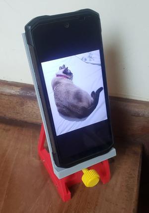 Adjustable Mobile Stand