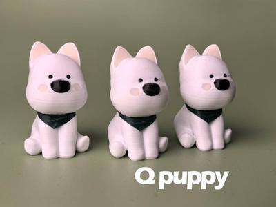 Q Puppy
