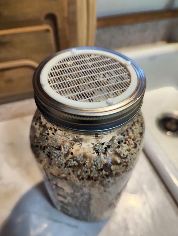 Wide Mouth Mason Jar Screen