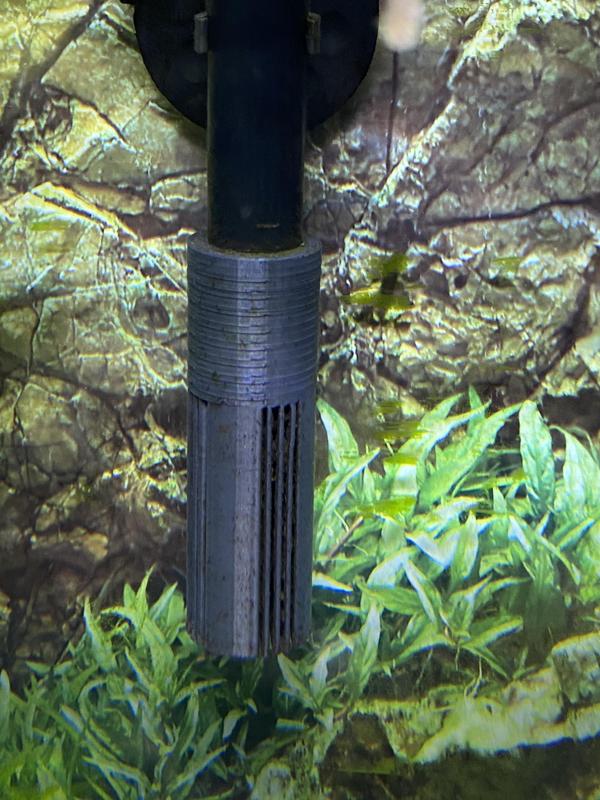 Canister Filter Intake Strainer