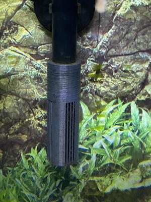 Canister Filter Intake Strainer