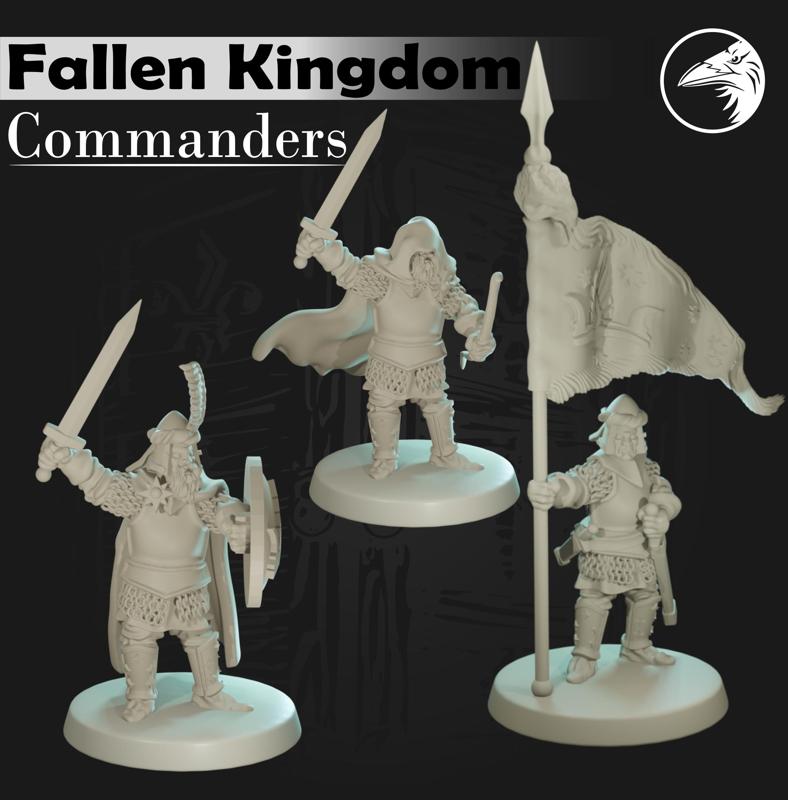Fallen Kingdom Commanders (alternate Arnor for LotR SBG)