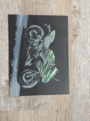 Kawasaki Ninja motorcycle HueForge / Filamentpainting