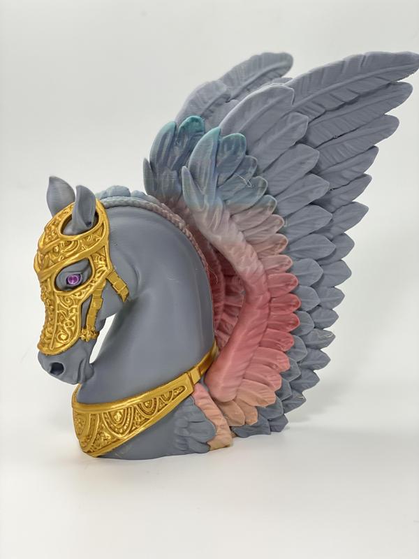 Pegasus: Sky Warrior