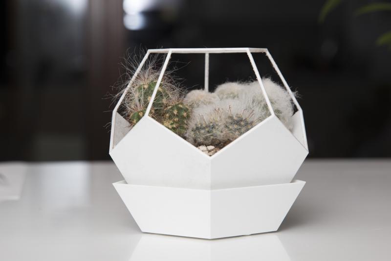 Flower Pot, Dodecahedron, With Saucer Base