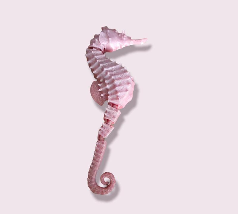 Sea Horse Chingle