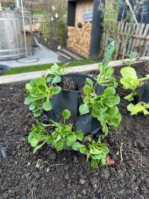 growtower, planttower, grow tower, plant tower