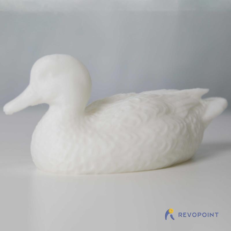 WILD DUCK（generate by POP）