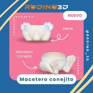 Easter rabbit planter for succulent plants - Macetero conejo pascuas pascuas para plantas succulentas - Easter rabbit planter for succulent plants