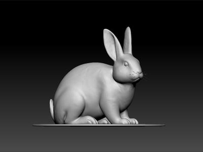rabbit