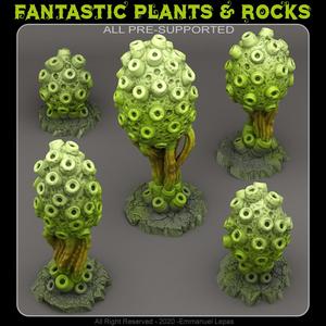 POISONOUS SPONGE PLANTS