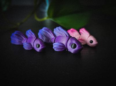 Flexi Betta Fish