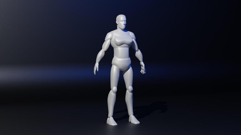 Female Dummy reference model (5ft6in) (Public domain)