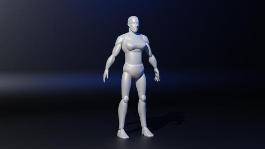 Female Dummy reference model (5ft6in) (Public domain)