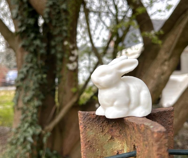 Realistic easter bunny