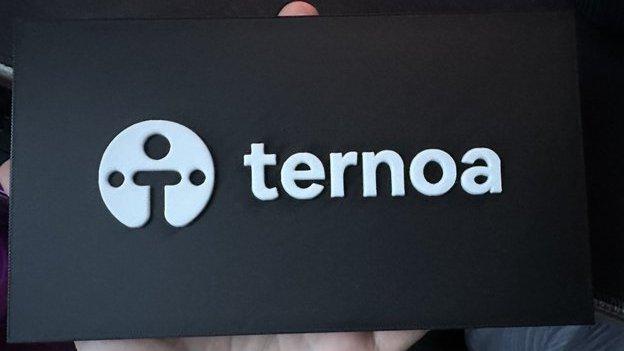 Ternoa Logo