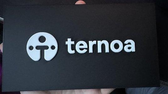 Ternoa Logo
