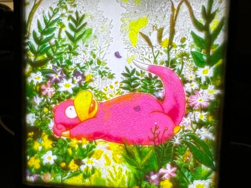 Slowpoke Flowers Lithophane