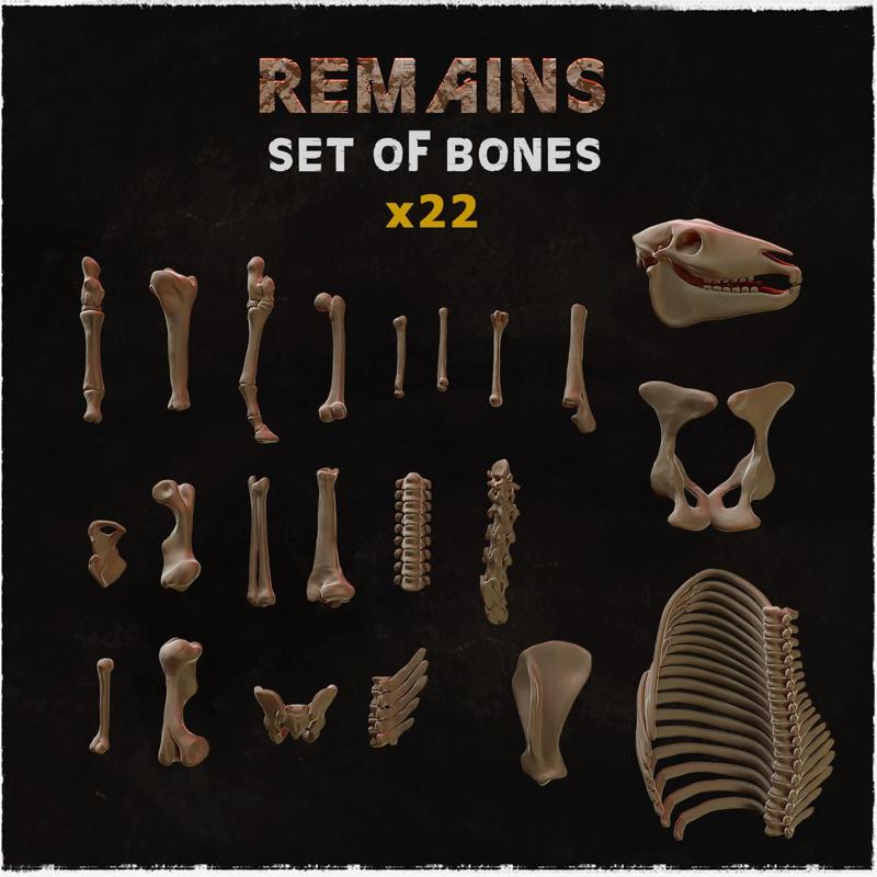 Remains - Set of Bones