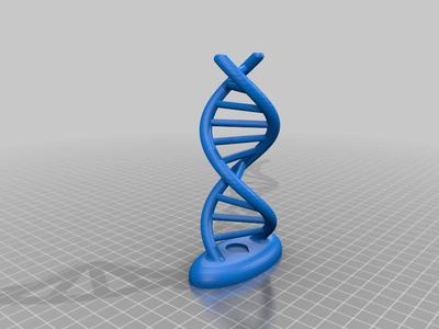Left-handed double strand DNA (dsDNA levogir)