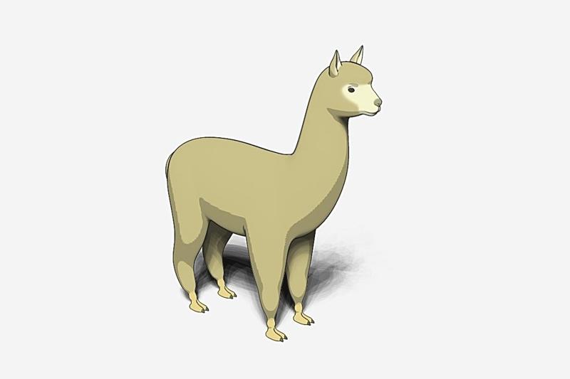 alpaca