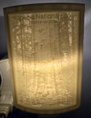 Sequoia National Park Nightlight Lithophane
