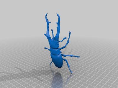 Prosopocoilus Giraffa (Revised)