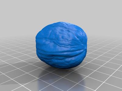 Walnut - 3D Scan - fixed