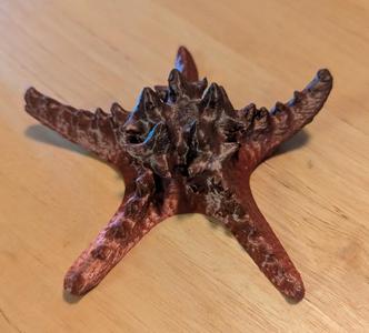 Starfish