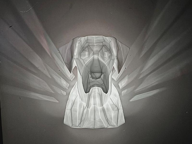 Rhodesian Ridgeback with Angel Wings