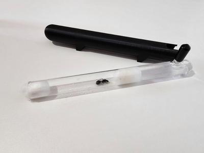 Test tube cover for queen ant nest