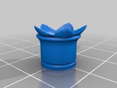 Cherry Blossom Tunnels