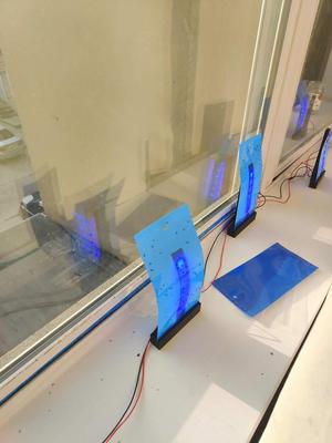LED Fruit Fly trap