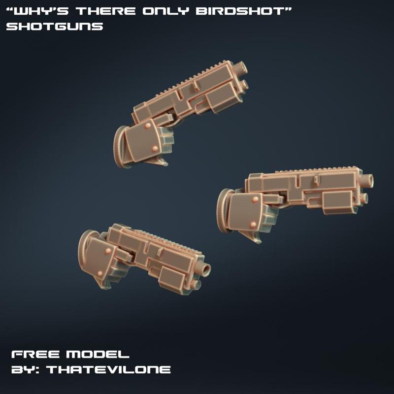 "Why's there only Birdshot?!" Shotguns